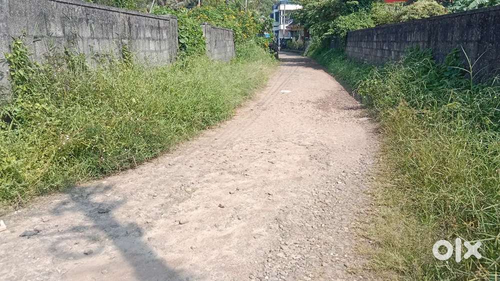 6 cent house plot for sale @panangadu