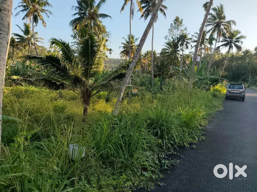 1 acre Agriculture land