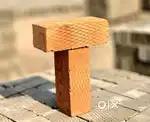 Wirecut Bricks