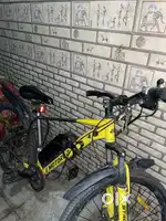 Emotorad x1 cycle