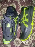 Asics men's gel trabuco 12 gtx shoes