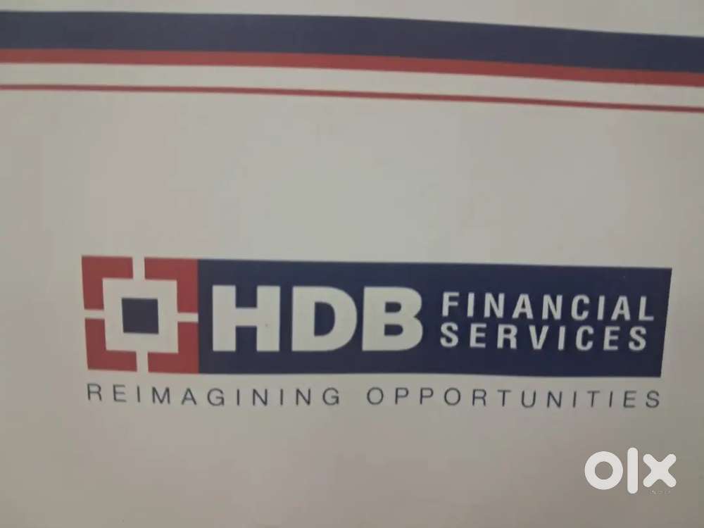 HDB FINANCIAL SERVICES