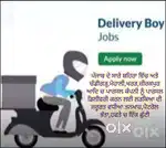 Parcel delivery job all over punjab