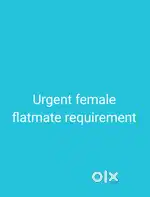 Urgently Looking for female flatmate