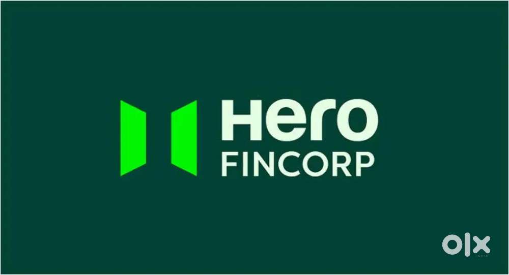 FINANCE EXECUTIVE REQUIRED FOR HERO FINCORP GOOD SALARY AND INCENTIVES