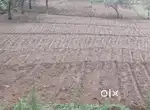 2 Acre commercial lamd for sale in kodaikanal