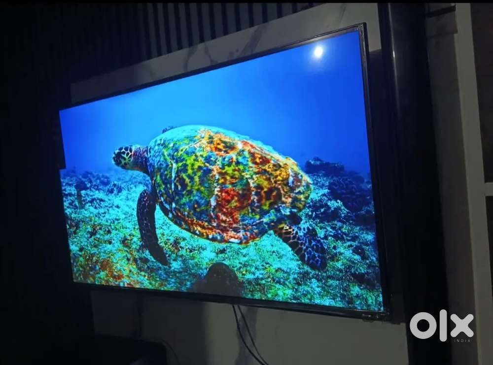 Offer New Led tv 50inch 55 40 42 43in 32 24 Android All Size available