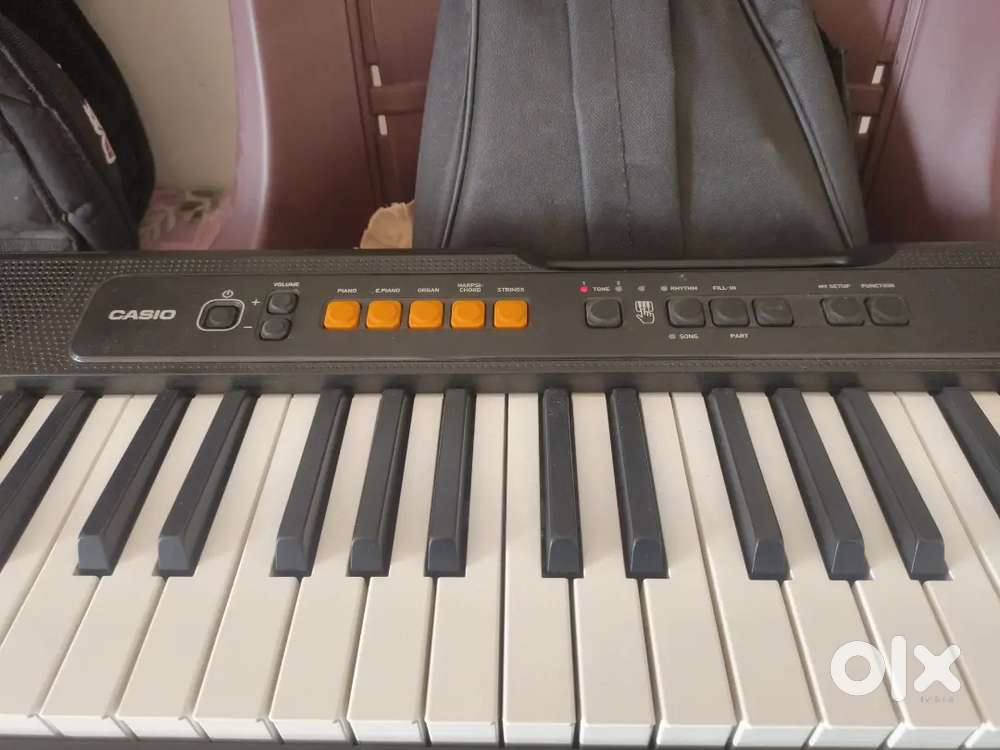 Required Drummer And Guitarist for a band