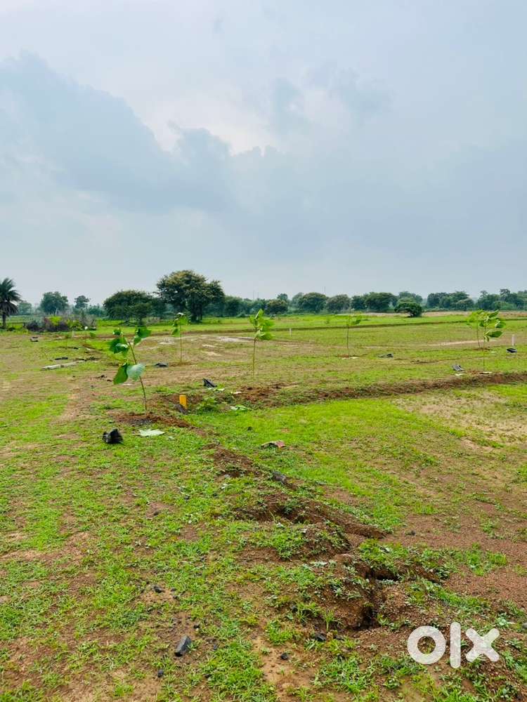 ₹799000/- me aavasiya diverted plot, location mandir hasaud, new raipr