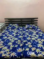 1room in pre-occupied 3bhk flat