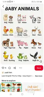 Tution classes