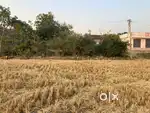 Agricultural land