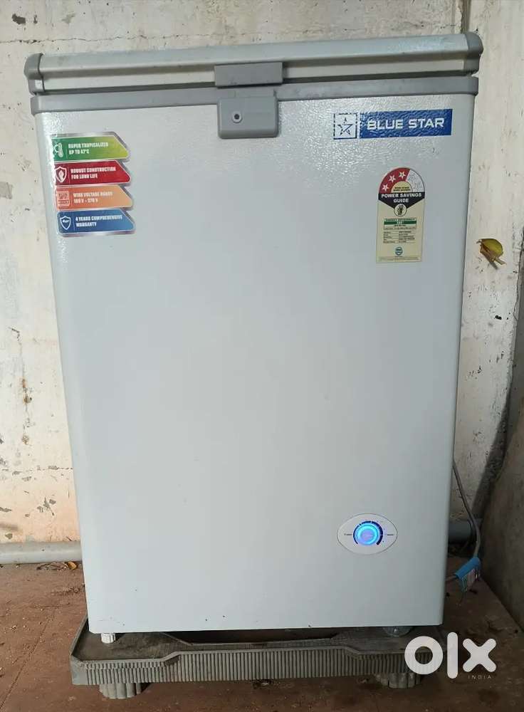 Blue Star 130 Liter Single Door Deep Freezer