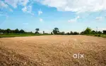 20 cent plot for sale