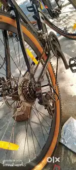 Denver professor cycle 29T