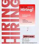 Sales Executive