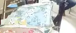 Comforter all sale reteiler