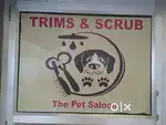 Vacancy for Dog Grooming Helper/ Assistant/ cleaner