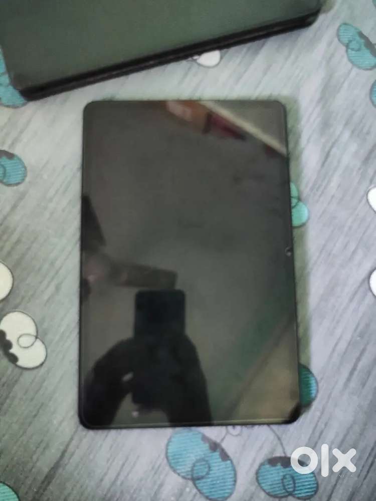 Xiaomi Pad 6, 1 month old.