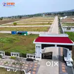 Urgent plot sale