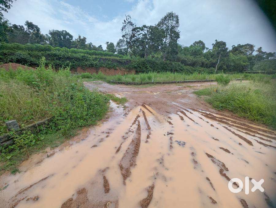 House plot 4.25 cent near By pass road Ettumanoor 4.25 lakh/cent