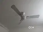 Fan for sale