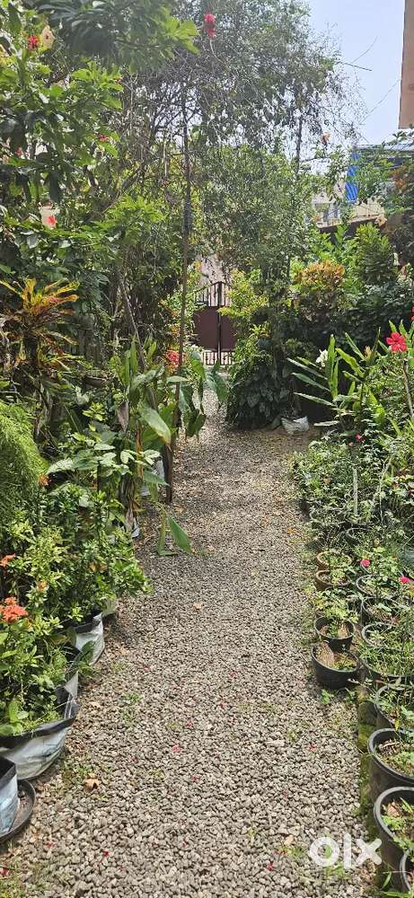 Building and Property for Sale