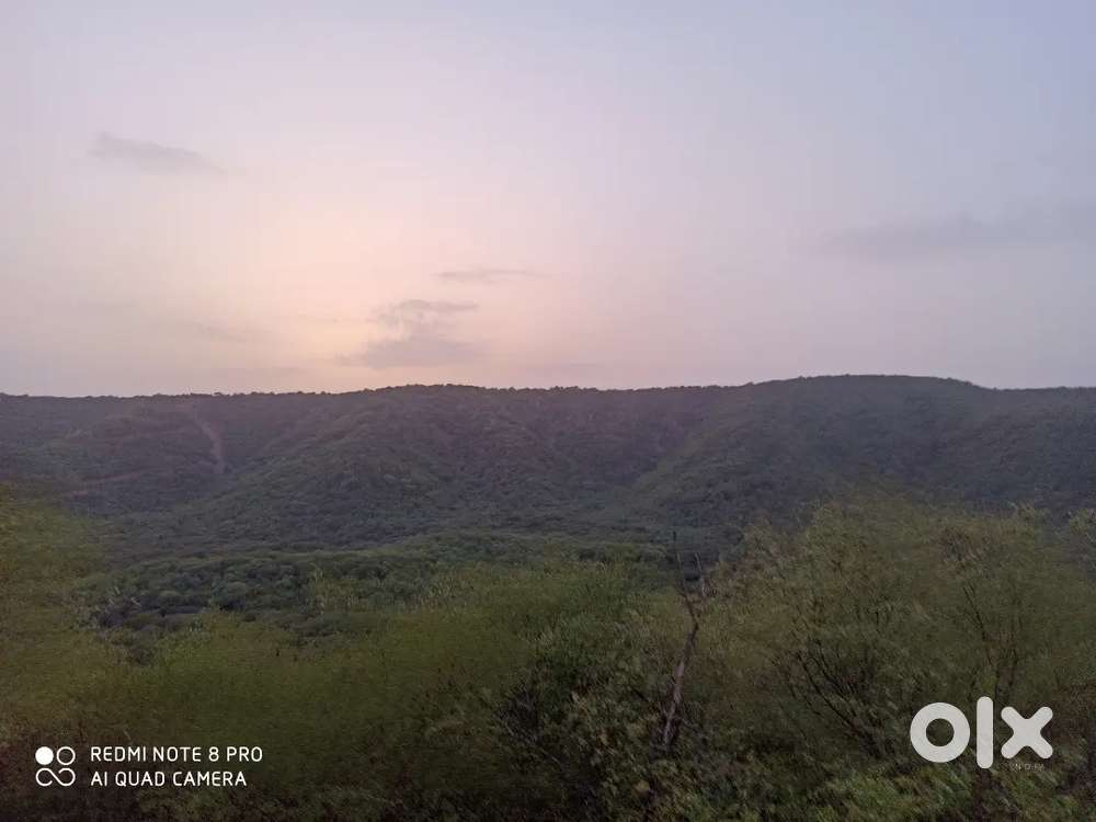 1000 gaj plot for rent with boundary