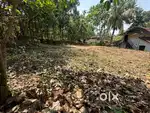 ROAD FRONTAGE HOUSE PLOT FOR SALE [7.5 CENT] at Vaniyamkulam, Palakkad