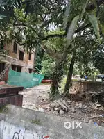 PMG- Thekkumoodu Near Bridge 3.9 Cent House Plot Rs. 21 Lakh per Cent