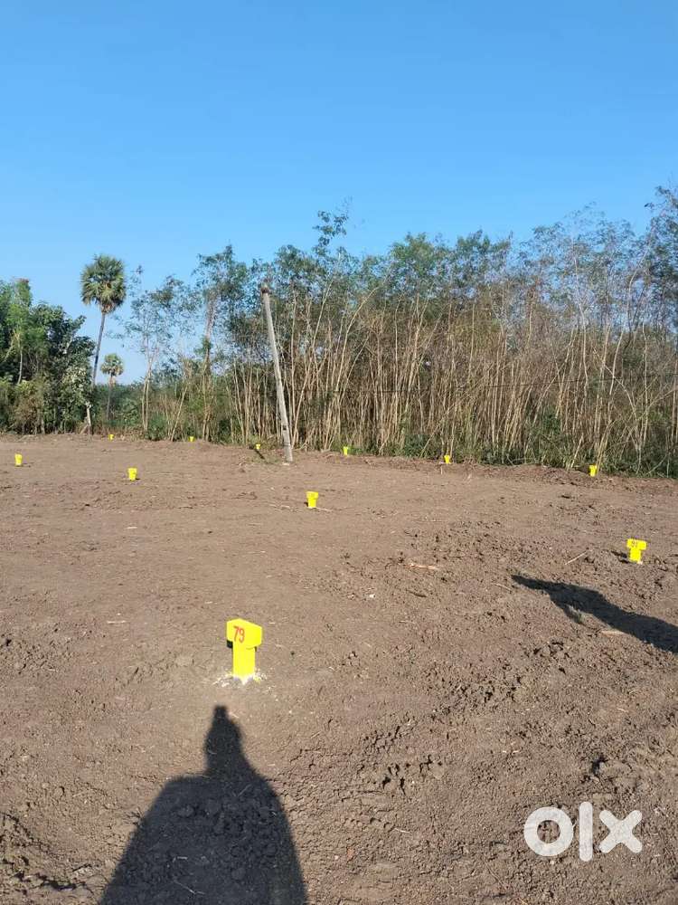 Amaravathi  low cost investment plots