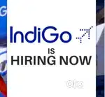 Vacancy open in indigo Airlines urgent hiring