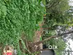 9360 sq.ft. land area