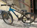 Drago 91 cycle