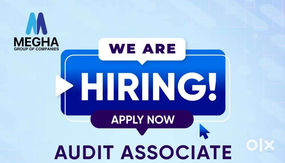Audit Associate