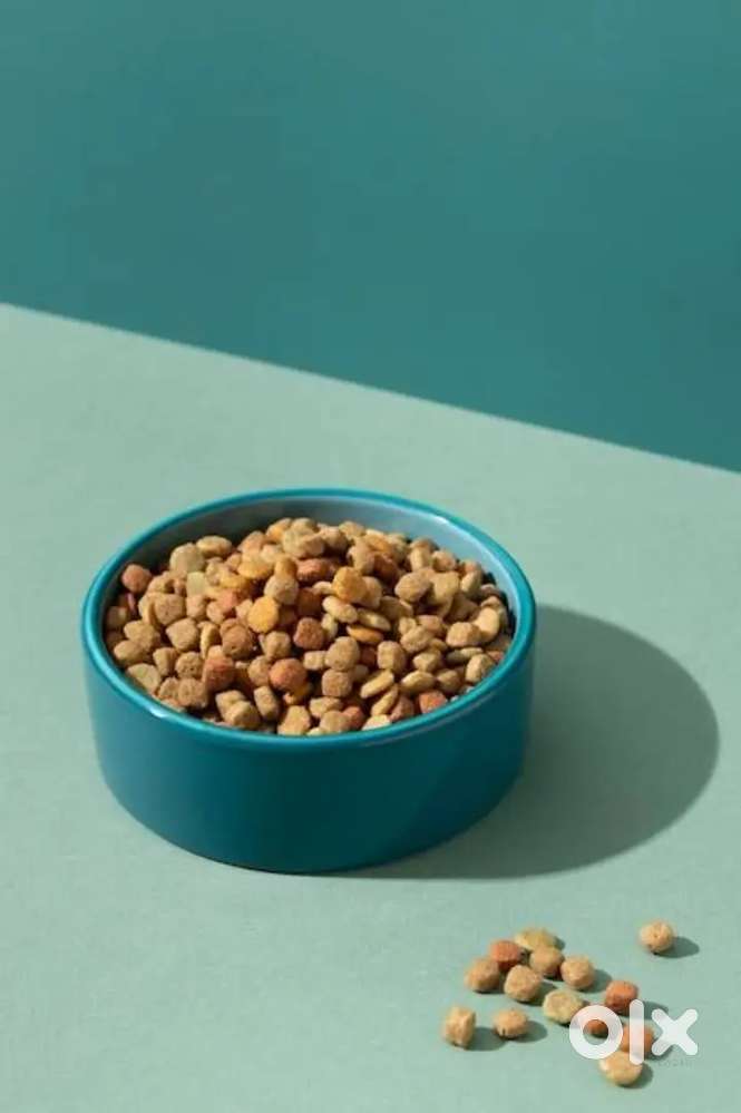 Hygienic pet foods for good health of pets