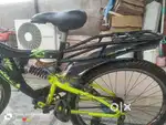 Hawk cycle