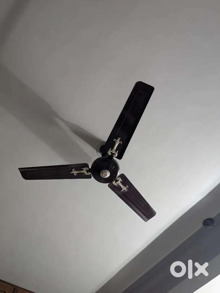 Working fan