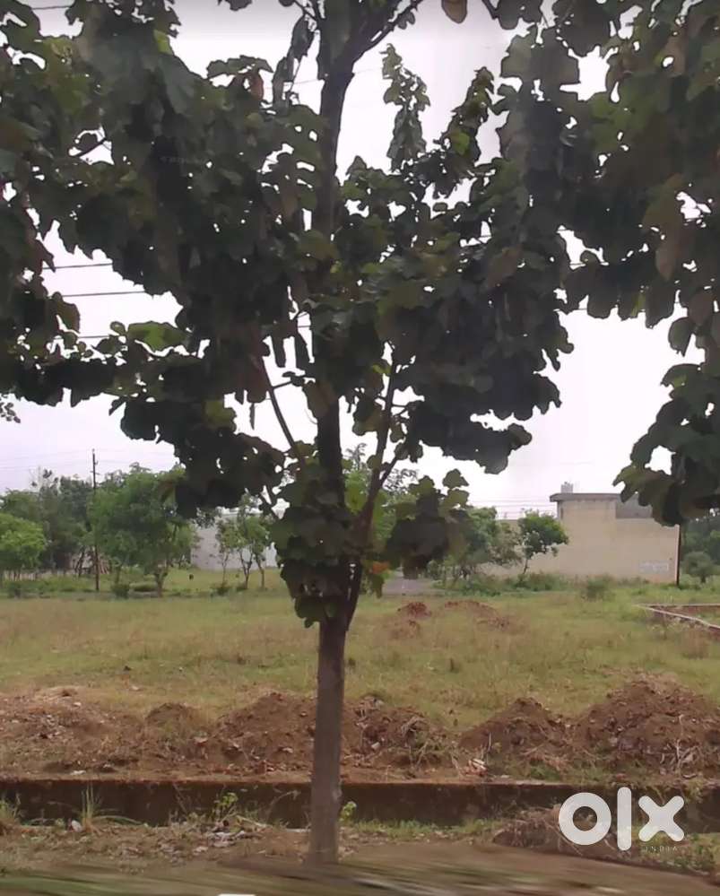 160.47 मीटर प्लॉट, सेक्टर 8, न्यू मुरादाबाद, दिल्ली रोड, मुरादाबाद