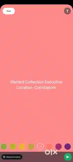 Wanted Collection Executive