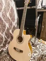 Musical instrument 100%condition