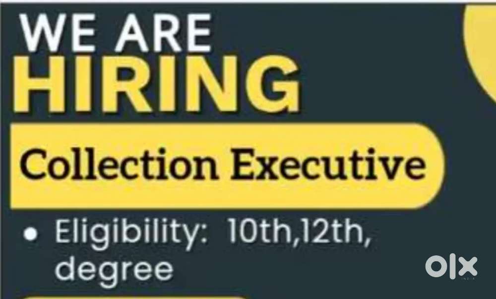COLLECTION EXECUTIVE