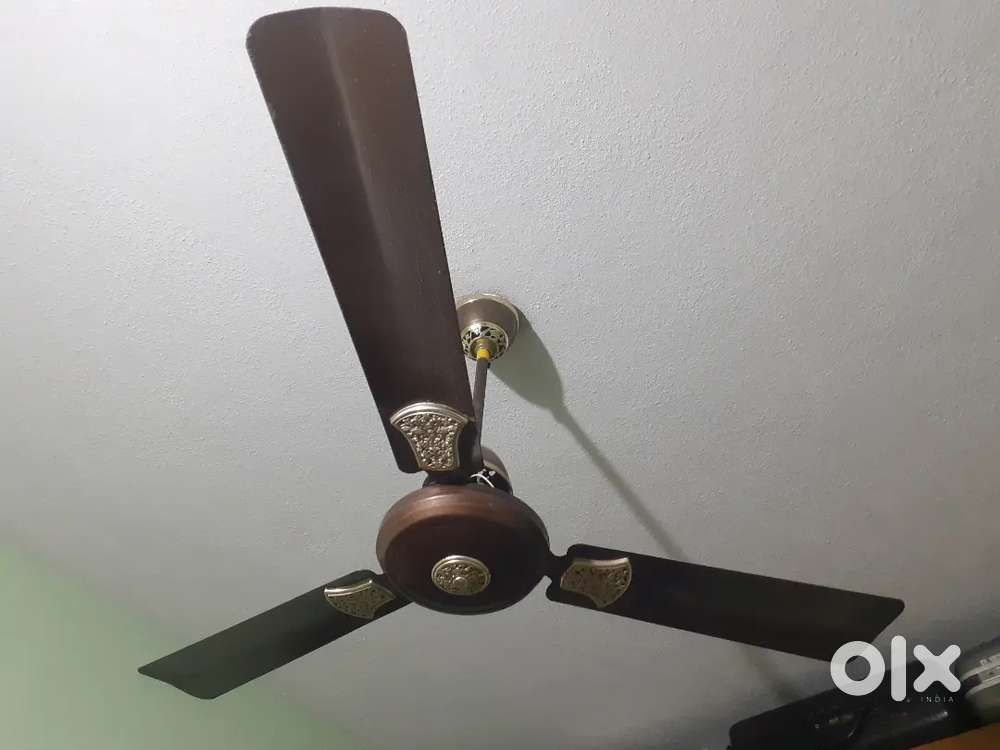 Celling fan (usha )