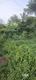 A 3 cent plot near ayyalur metta cicle