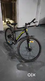 Urban terrier cycle