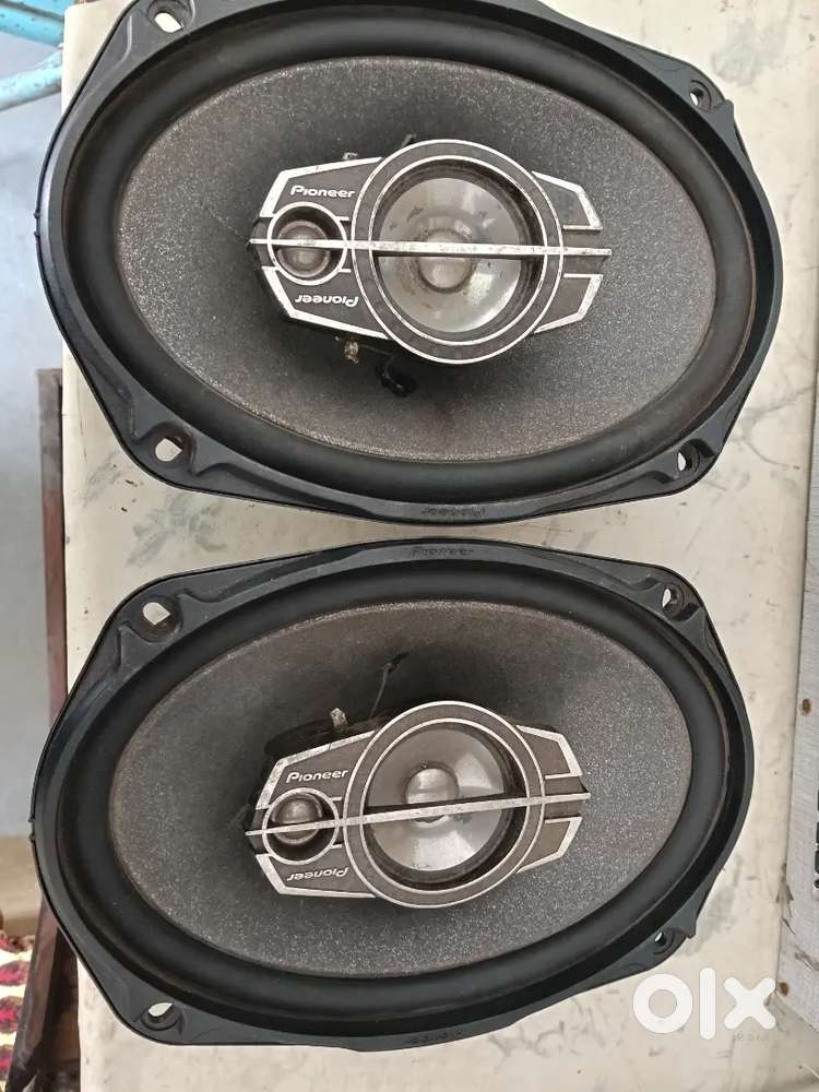 Pioneer oval speaker