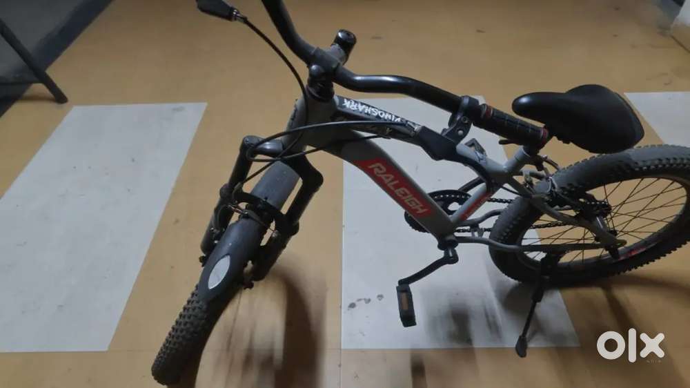 Raleigh bicycle for kids upto 10 yrs. - 20 inches