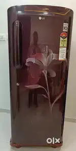 LG Refrigerator , Scarlet Euphoria