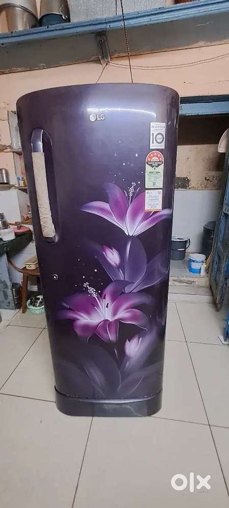OLG FRIDGE