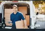 Parcel van helper